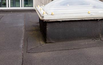 disadvantages of Mount Pleasant flat roofs