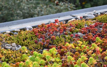 the cost of Mount Pleasant green roof installation