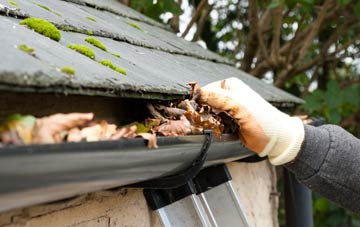 gutter cleaning Mount Pleasant