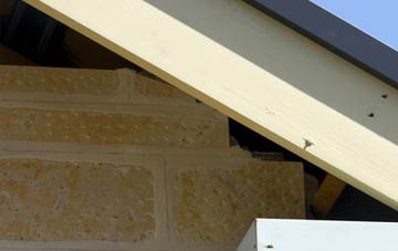 soffit repair Mount Pleasant